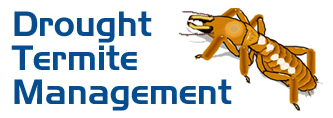 Drought Termite Management